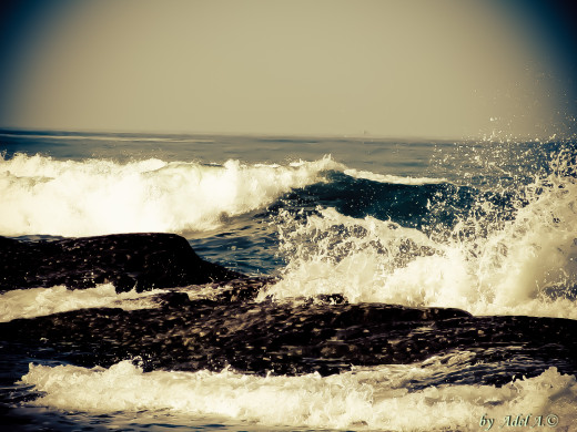 49716 (a): :1600x1200